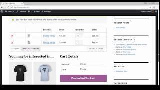 Demo  Checkout for WooCommerce CyberSource Payment Gateway #cybersource #woocommerce #wordpress
