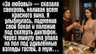 «За любовь!» — сказала свекровь, наливая всем красного вина. Я улыбнулась, подменив свой бокал...