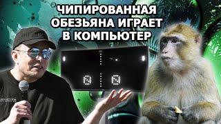 Elon Musk’s monkey with a Neuralink chip is playing Mind Pong |in Russian|