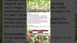 Секреты выращивания рассады