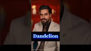 Dandelion: компания, которая меняет правила игры!