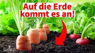 Welche Erde im Gewächshaus? Diese Erde ist am besten geeignet für Tomaten, Gurken und Co!