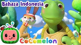 Kura-kura dan Kelinci | CoComelon Bahasa Indonesia - Lagu Anak Anak | Nursery Rhymes