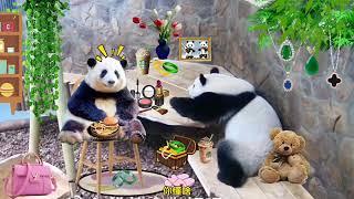 花叶小日常第14集：姨姨们早上好，姐妹俩的清晨小日常来喽～#来这吸熊猫 #大熊猫和花和叶 #熊猫花花 #大熊猫
