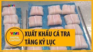 Xuất khẩu cá tra tăng kỷ lục | VTV4