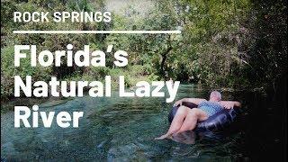 FLORIDA'S NATURAL LAZY RIVER at ROCK SPRINGS in KELLY PARK | Things to do in Florida