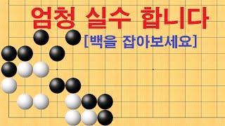 바둑 묘수 사활 - 엄청 실수 합니다. 백을 잡아보세요