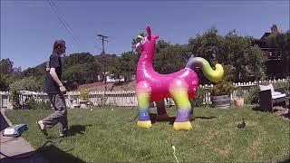 Summer Waves Giant Inflatable Llamacorn Sprinkler setup and review