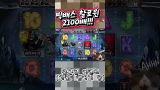 [슬롯실시간]실배팅 인생역전 슬롯 #슬롯 #슬롯 실시간 #슬롯대박 #슬롯잭팟 #카지노 #성인놀이터 #바카라 #바카라실시간 #실시간바카라