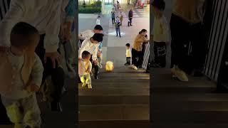 The Smart DogLittle puppy dog cycle ride #doglover #pomeranian #cutedog #whowillbemylifepartnerta