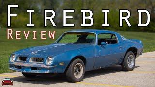 1976 Pontiac Firebird Review - Perseverance Till The Bitter End! (Which Is Near)