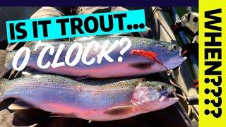 When Is The Best Time Of Day To Catch Trout?