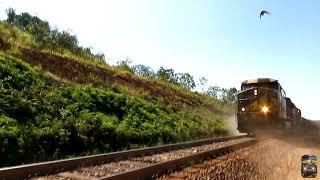 Andando lado a lado com o trem na Ferrovia do Aço - CONFIRA