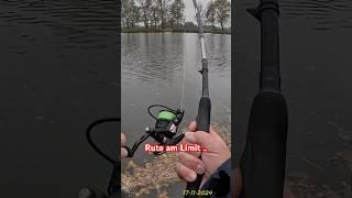 Rute am Limit, Kapitaler Esox im Drill | Zander, Hecht und Barsch ..