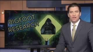 New York Residents Experience Bigfoot First Hand