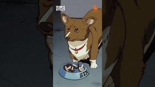 I see Ein, I stop and watch 🫶