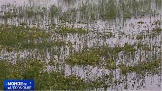 Les petits agriculteurs des pays en développement parmi les plus vulnérable au changement climatique