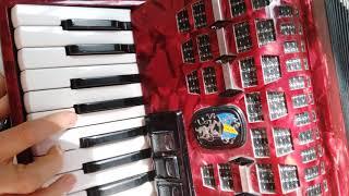 1 Структура Лада: Читай материал в развороте! #аккордеон, #курсыаккордеона, #урокиаккордеона