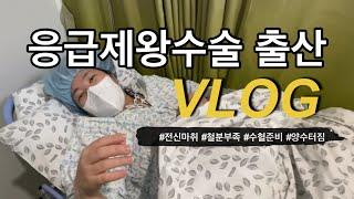 [ 출산브이로그 ] 임신38주 | 양수터짐 | 강남차병원 | 응급제왕수술출산 | 전신마취 | 철분부족 | 특실리뷰 | 출산휴가일주일즐기기