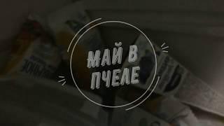 Май в Пчеле