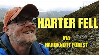 Lake District Walks | Walking the Wainwrights | Harter Fell  (Eskdale) via Hardknott Forest