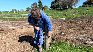 This Gate Keeps Giving Me Shocks! Grounding The Strainer Is An Easy Fix