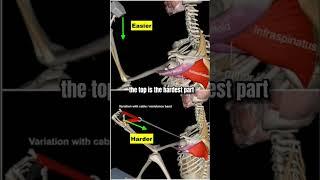 The BEST Rotator Cuff Exercise You’re Not Doing!