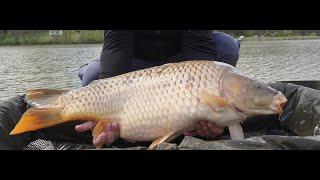 MK Carp Fishing: Trailer 2023