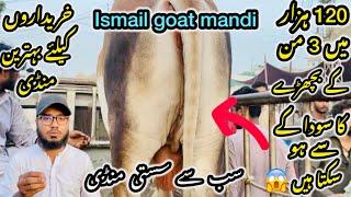 Ismail goat Mandi Karachi Cattle Rates Update ️ || 25 may 2025  || Cow Mandi 2025