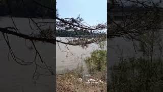река Абакан в черте города Абаза 05.06.2023