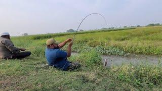 It's a Small Stream but Catching lot of fishes(Indian redbilled & catfishes)by Single hook