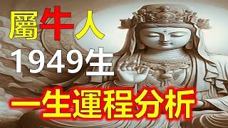 1949年屬牛人生於己丑年，即1949年，屬牛的人，今年已經75歲了。屬牛人一生的運勢，屬牛人童年時期，家境雖然不富裕，但家庭關係和睦，這為屬牛人奠定了好的性格。#生肖運勢 #生肖 #十二生肖