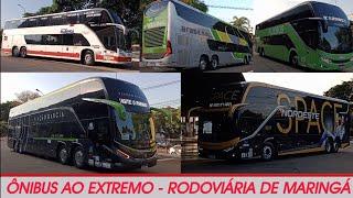 ÔNIBUS AO EXTREMO!!! MEGA Movimentação de ônibus na RODOVIÁRIA de MARINGÁ