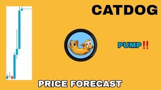 CATDOG COIN PUMP POTENTIAL IN 2024‼️ CATDOG PRICE FORECAST‼️ CATDOG TOKEN HUGE GAINS AHEAD NOW