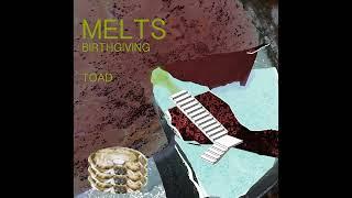 Birthgiving Toad - MELTS (2013)