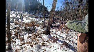 Winter Adirondack Whitetail Deer Hunting 2023