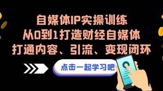 自媒体IP实操训练，从0到1打造财经自媒体，打通内容、引流、变现闭环