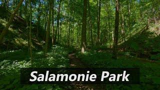 Salamonie State Park Hiking Trails - Largo, Indiana