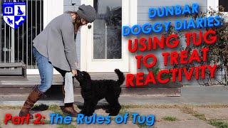 Dunbar Dog Diaries #15- Teach Tug to Resolve Dog Reactivity Pt 2: The rules of Tug