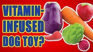 Does your dog need vitamins? | DOG TOY REVIEWS | Planet Dog Orbee-Tuff Artichoke Dog Toy