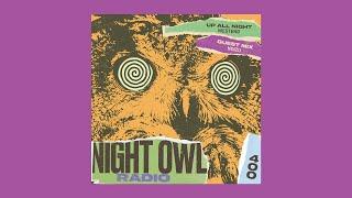 WESTEND, NOIZU - Night Owl Radio 400