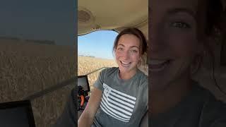 Farm Girl Running Corn Combine #laurafarms #farmequipment #tractor #harvest #farmer #cornfield