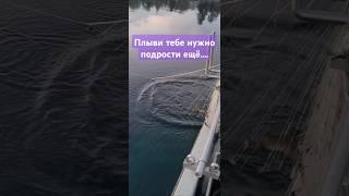 Все по чесному только мерные.... #рыбалканаозере #женева #рыбалка
