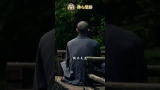 在自己的世界裏閃閃發光 #佛心慧語 #哲理名言 #佛學智慧