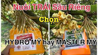 So Sánh HIỆU LỰC Nuôi TRÁI của MASTER MỸ & HYDRO MỸ Cái nào NGON