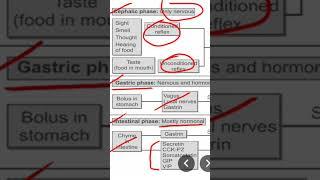 Intestinal phase of gastric secretion