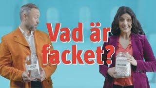 Vad är facket?