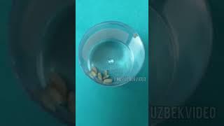 КУТЛАГАН ЧАКОЛОК ХАЙРАТАН ЙОКА УШЛАЙСИЗ..