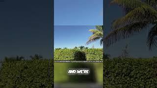 Exploring Wild Blue  Luxury Homes by the Water #wildblueflorida #stockhomes #luxurywaterfrontliving,