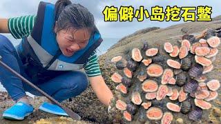 小漁開船5小時去偏僻小島趕海，遍地是3億年前的生物，長的醜陋味道卻極其美味【漁小仙】